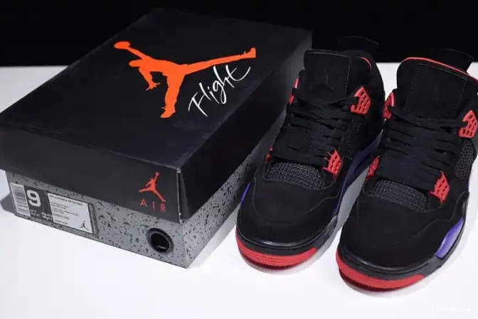 Retro Raptors